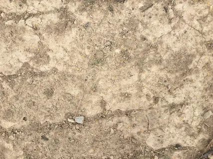 美国,西摩,沙地,地面,泥土,沙子,泥土,背景 美国,西摩,沙地,地面,泥土,沙子,泥土,背景