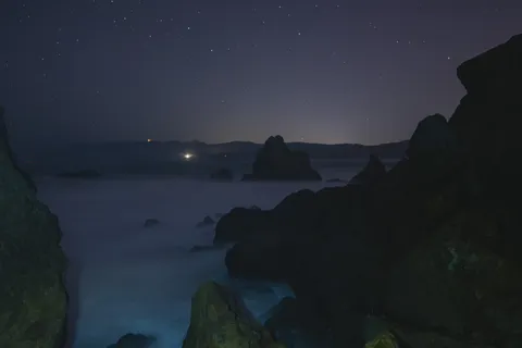 海滩,黎明,黄昏,黄昏,雾,雾,阴沉,朦胧 海滩,黎明,黄昏,黄昏,雾,雾,阴沉,朦胧