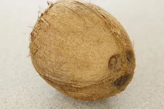 椰子，棕色，坚果，健康，美味，贝壳，封闭，食物