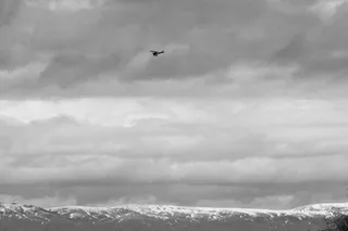 飞机，天空，云，云，黑白，带状，沙漠，空