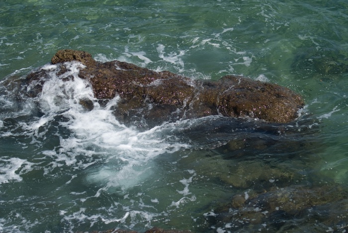 岩石，海洋，冲浪，海岸，斯坦尼格，自然，水，动物