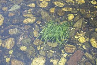 水，高视角，岩石，固体，无人，自然，白天，石头-物体