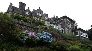 景观、天空、花卉、花园、建筑、日光、外部、草坪