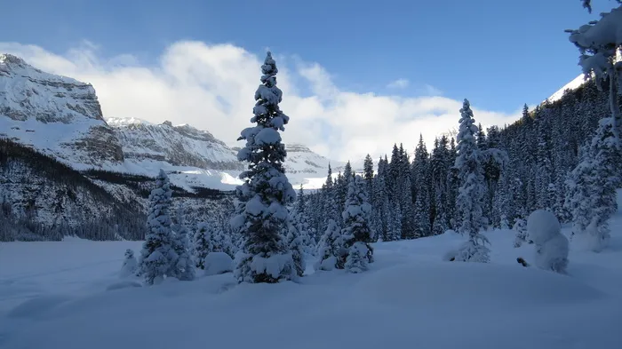 自然，阿尔伯塔，加拿大，冬季，班夫，国家公园，雪，低温