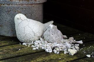 退化、变质、鸟类、废弃、老化、数字、老化、年份