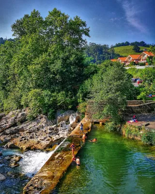 景观、夏季、河流、放松、自然、水、树木、植物