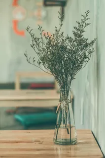 特写摄影,绿色,叶子,植物,桌子,花,玻璃,水 特写摄影,绿色,叶子,植物,桌子,花,玻璃,水