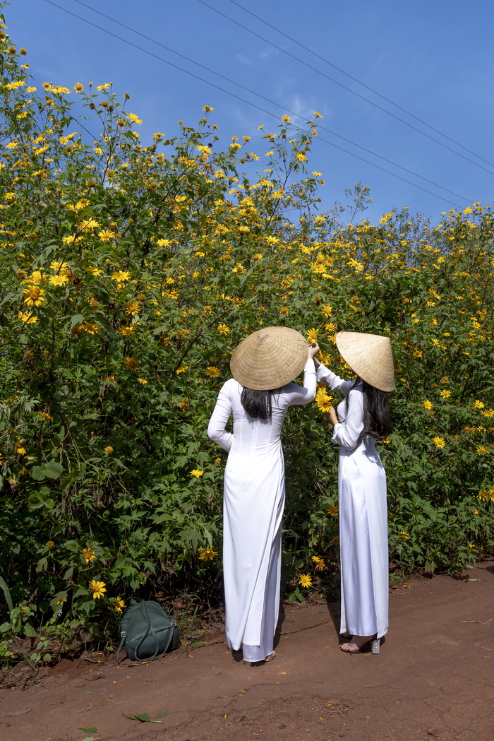 两个女人在采花