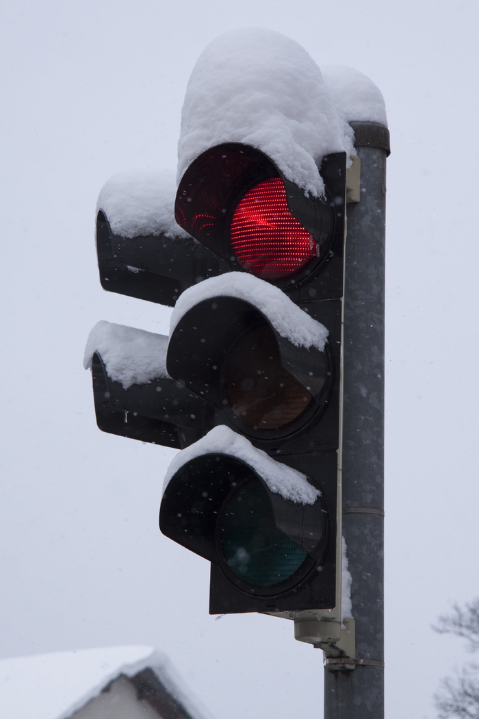 交通灯，冬季，雪，红色，新西兰，降雪，霜冻，冬季大风