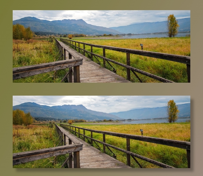 绿色草地旁的棕色木桥