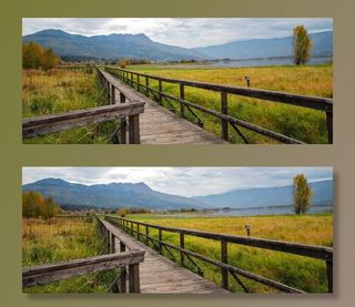 绿色草地旁的棕色木桥