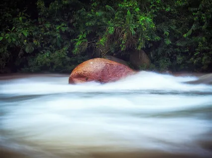厄瓜多尔，纳波省，绿色，抵抗，抵抗，石头，岩石，时间