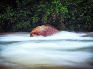 厄瓜多尔，纳波省，绿色，抵抗，抵抗，石头，岩石，时间