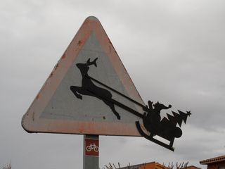 好奇、交通信号、信号、圣诞节、小心、动物、dom、雪橇