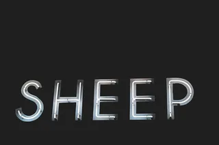 字母、字体、绵羊、浅色、深色、黑白、文本、复印空间