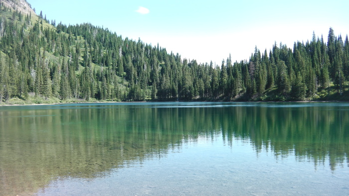 湖，山，自然，自然，山湖，蒙大拿州，森林，风景