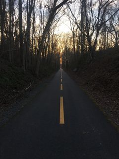 道路、裸露、树木、下午、街道、旅游、乡村、室外