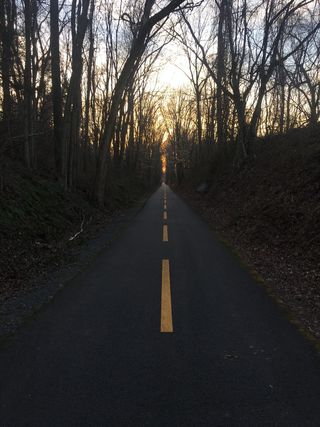 道路、裸露、树木、下午、街道、旅游、乡村、室外
