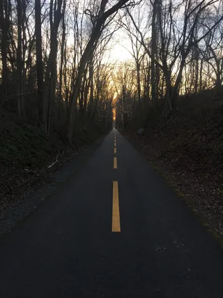 道路、裸露、树木、下午、街道、旅游、乡村、室外