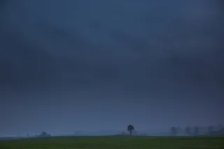 灰色的天空和绿色的田野