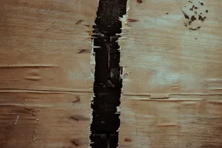 黑色背景上的碎木