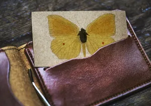 天线、古董、卡片、经典、特写、复制空间、设计空间、空白