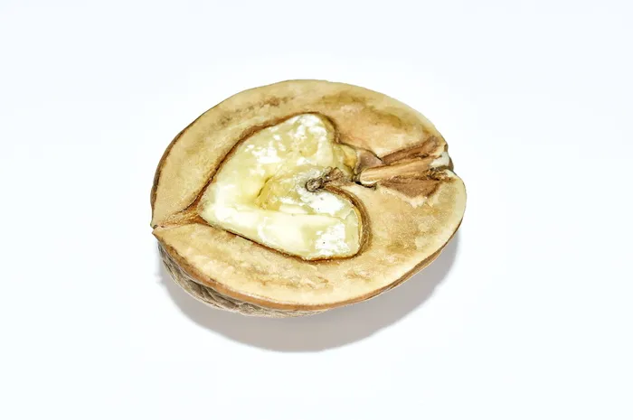 坚果，核桃，坚果，果盘，棕色，食物，贝壳，封闭
