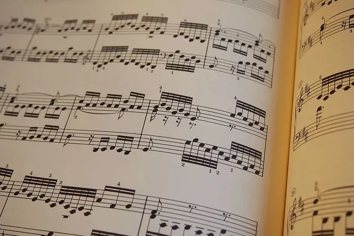 照片、黑色、白色、印刷、笔记、音乐、钢琴曲、乐谱