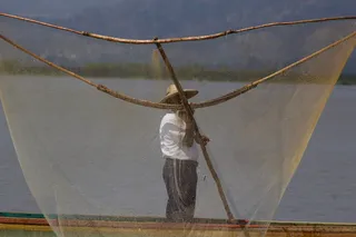 墨西哥，莫雷利亚，工作，湖泊，人，鱼，水，一个人