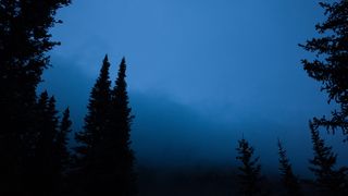 美国，困惑峰，梯度，褪色，剪影，科罗拉多，树木，户外