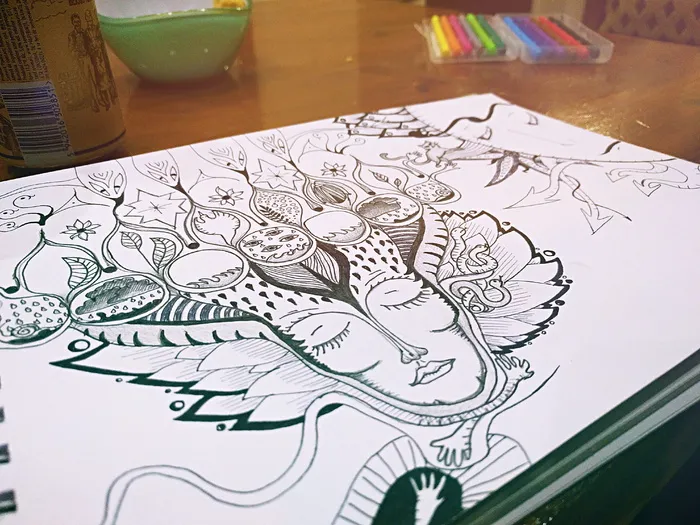花卉素描