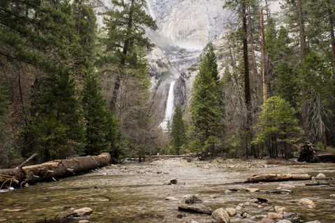 瀑布被绿叶树环绕