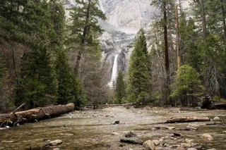 瀑布被绿叶树环绕