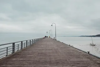 白天的棕色码头