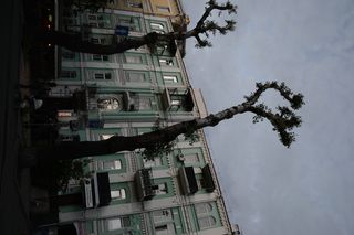 乌克兰、基辅、雷塔斯卡街、雷塔斯卡街、佐洛蒂·沃罗塔、建筑、阳台、树木砍伐