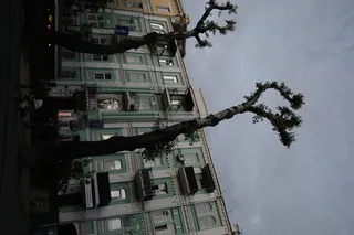 乌克兰、基辅、雷塔斯卡街、雷塔斯卡街、佐洛蒂·沃罗塔、建筑、阳台、树木砍伐