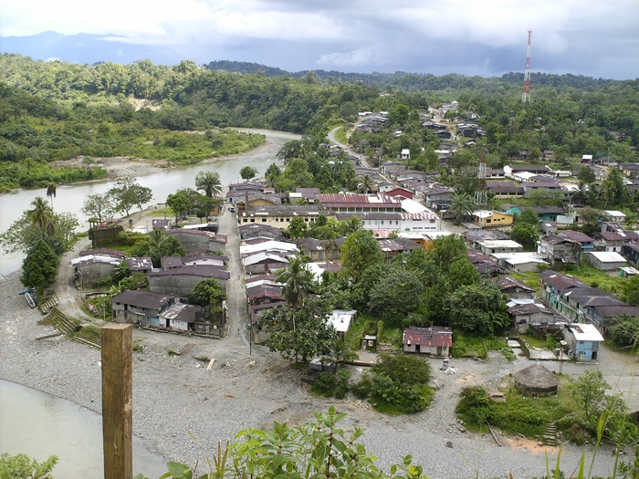 南美洲哥伦比亚*巴加多市乔科区树木、建筑、工厂、建筑外观