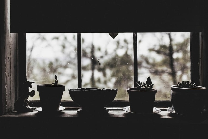 四个花盆，花盆，花盆，物体，懒惰，悲伤，忧郁，下雨