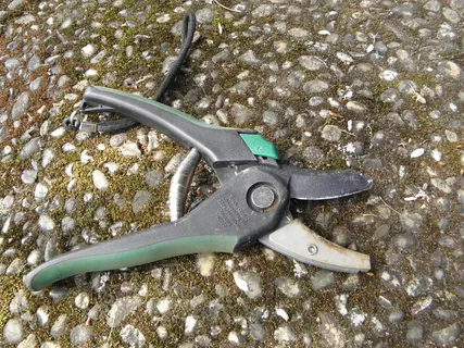 修剪器，剪刀，厚，剪断，树，维护，金属，高角度视图