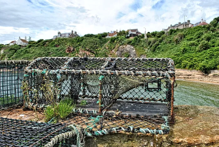 crail，英国，crail harbour view，钓鱼，龙虾，网，云天，天空