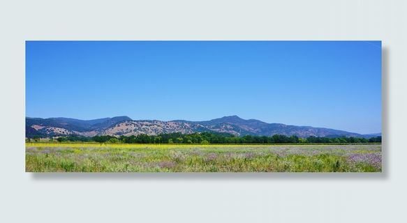绿草，纳帕谷，葡萄酒，酿酒厂，纳帕谷，葡萄园，加利福尼亚