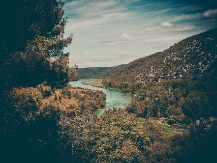 树木，覆盖，山脉，河流，白天，绿色，近，积云