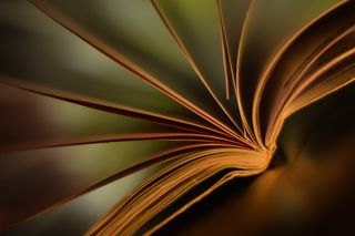 书, 屏幕, 气候, 心情, 范围, 光, 一个特殊的时刻, 装饰