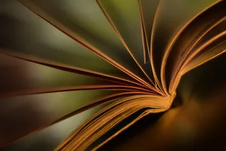 书, 屏幕, 气候, 心情, 范围, 光, 一个特殊的时刻, 装饰