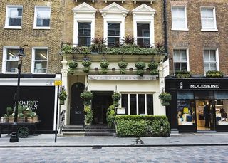 伦敦，英国，考文特花园，花卉，摩尔斯金，街道，英格兰，商店