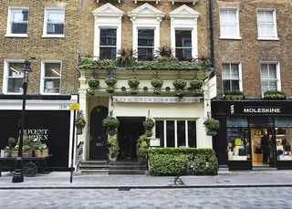 伦敦，英国，考文特花园，花卉，摩尔斯金，街道，英格兰，商店