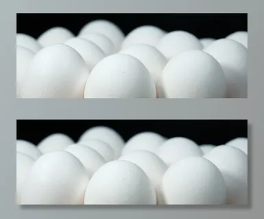 摄影，鸡蛋，鸡蛋，复活节，复活节彩蛋，复活节快乐，春天，白色