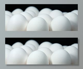 摄影，鸡蛋，鸡蛋，复活节，复活节彩蛋，复活节快乐，春天，白色