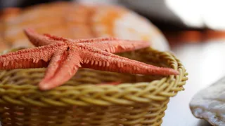 macro、marine、star、bi、ata、食品和饮料、食品、篮子