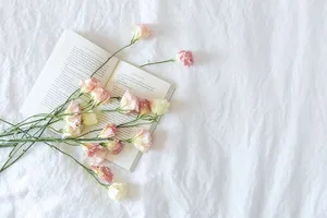 带书和花的床照片